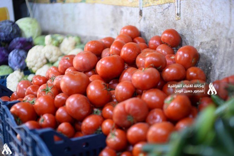 الزراعة: الحكومة نجحت في استقرار الأسواق المحلية وتوفير المحاصيل الزراعية