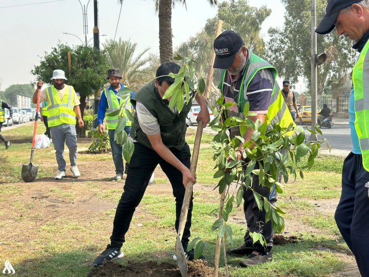 البيئة: تعاون دولي بمجالات التشجير ومكافحة التصحر وتوجه لاعتماد تقنيات الاستمطار الصناعي